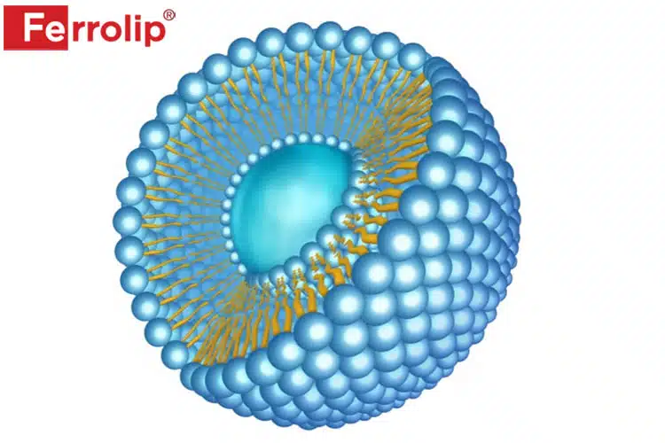 Công nghệ Liposome đột phá