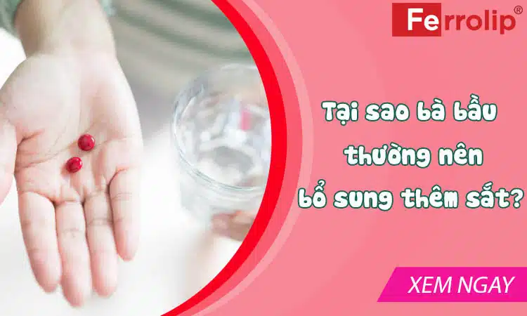 tại sao bà bầu thường nên bổ sung thêm sắt