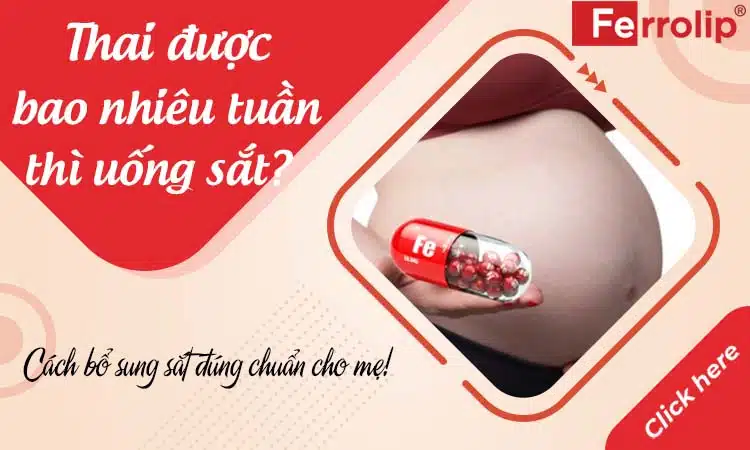 thai được bao nhiêu tuần thì uống sắt