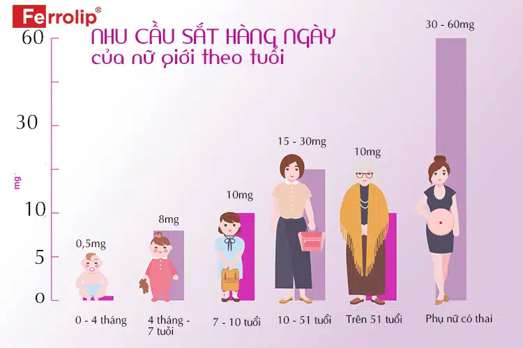 Uống sắt bao lâu thì ngưng