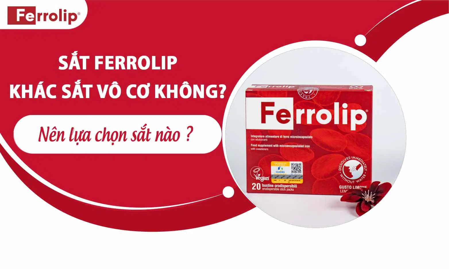 Sắt ferrolip khác sắt vô cơ