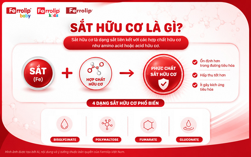 Sắt hữu cơ là gì?