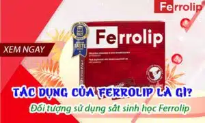 tác dụng của ferrolip