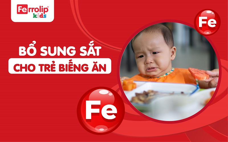 Bổ sung sắt cho trẻ biếng ăn