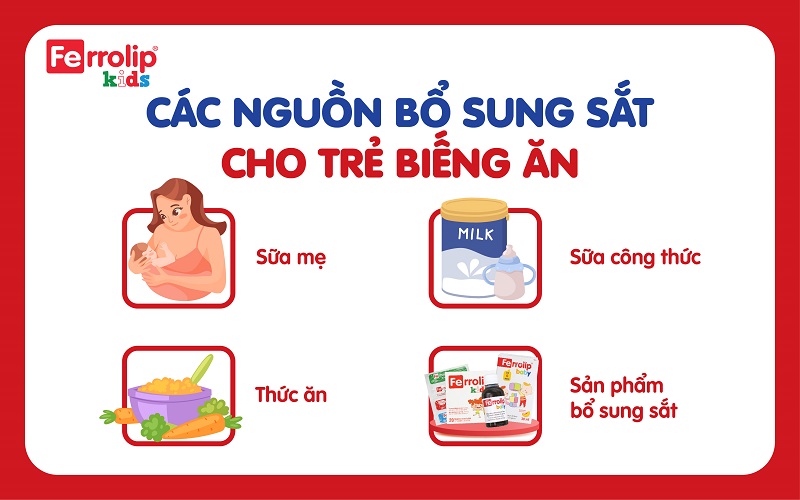 Hướng dẫn bổ sung sắt cho trẻ biếng ăn