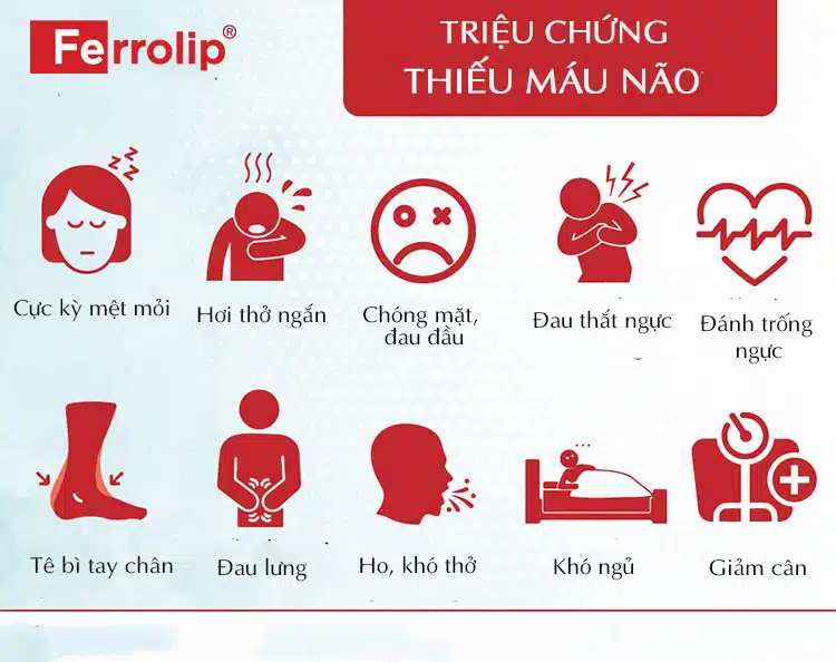 Một số triệu chứng của thiếu máu não