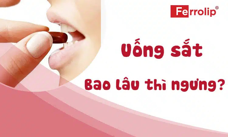 uong-sat-bao-lau-thi-ngung