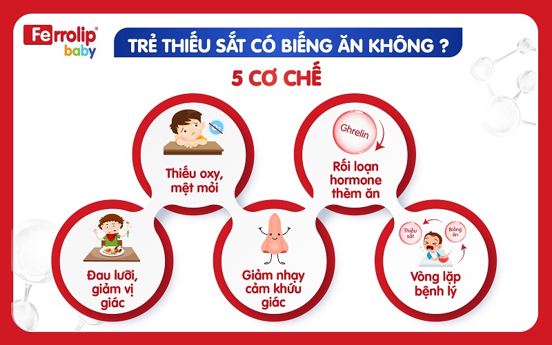 Trẻ thiếu sắt có biếng ăn không?
