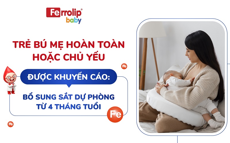 Khuyến cáo bổ sung sắt cho trẻ bú mẹ