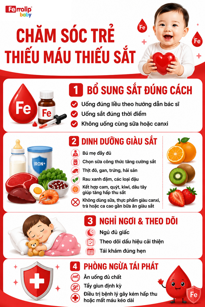 Chăm sóc trẻ thiếu máu thiếu sắt