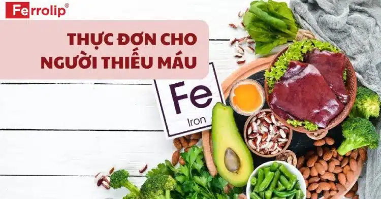 Thực đơn 7 ngày cho người thiếu máu mang lại hiệu quả nhanh chóng