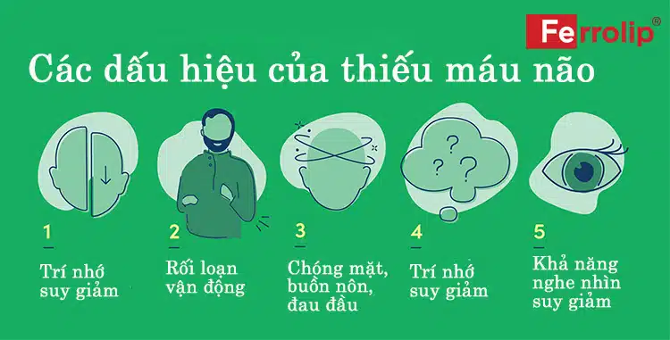 5 dấu hiệu thiếu máu não thường gặp nhất