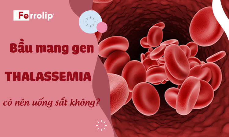 mang-gen-thalassemia-co-nen-uong-sat-khong