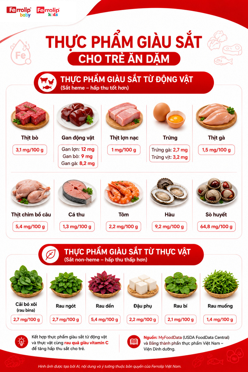 Thực phẩm bổ sung sắt cho trẻ ăn dặm