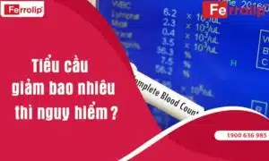 tiểu cầu giảm bao nhiêu thì nguy hiểm