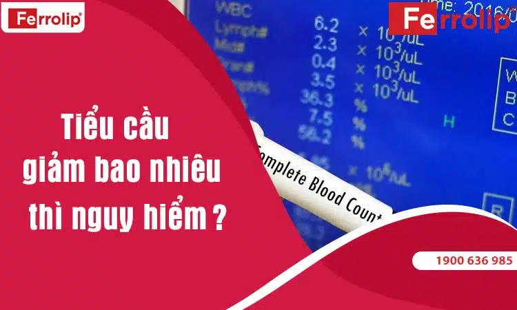 tiểu cầu giảm bao nhiêu thì nguy hiểm