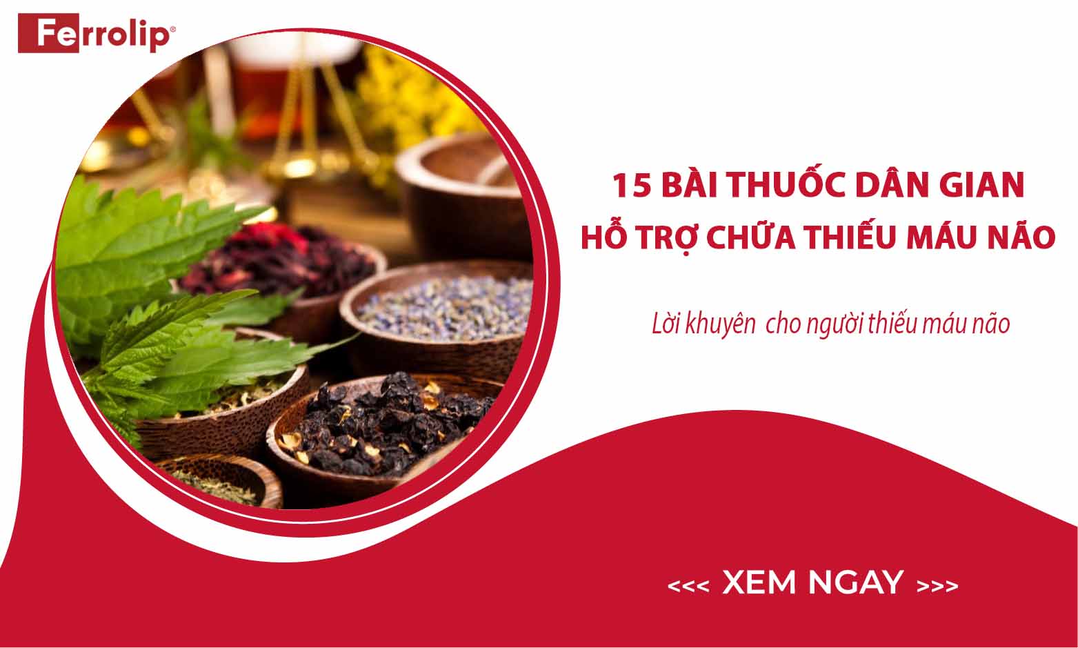 Bài thuốc dân gian chữa thiếu máu não