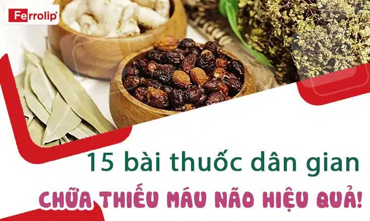 bài thuốc dân gian chữa thiếu máu não