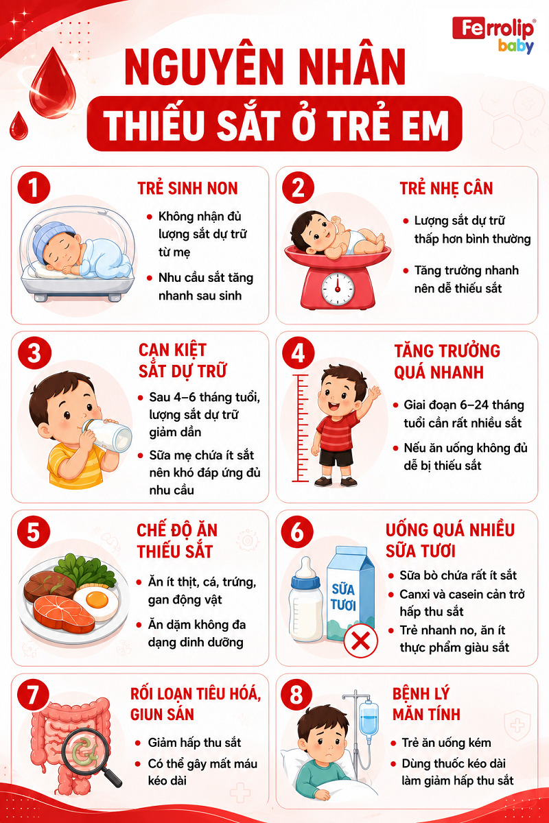 Nguyên nhân thiếu sắt ở trẻ em