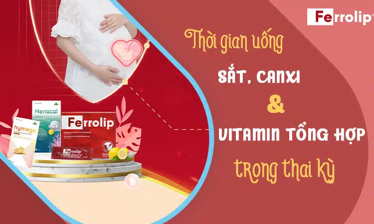 thoi-gian-uong-sat-canxi-va-vitamin-tong-hop