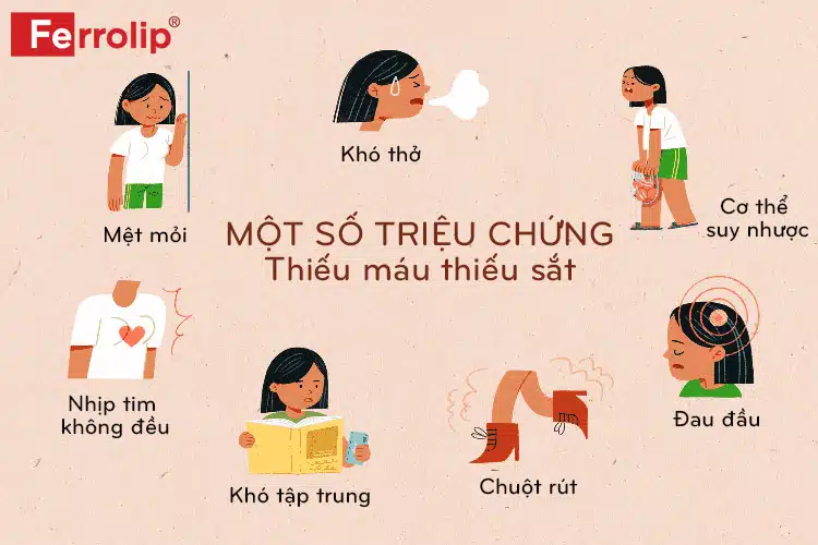 trieu-chung-cua-thieu-mau-thieu-sat