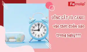 uong-sat-va-canxi-vao-thoi-diem-nao-trong-ngay