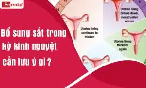 bổ sung sắt trong kỳ kinh nguyệt