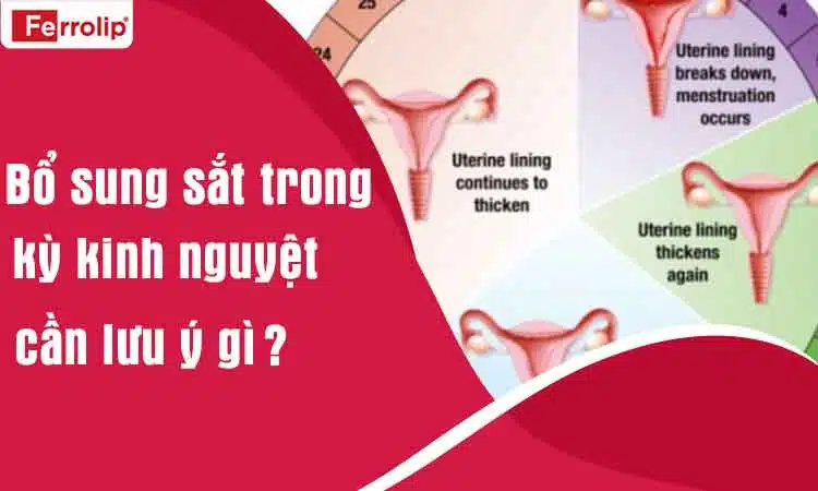 bổ sung sắt trong kỳ kinh nguyệt