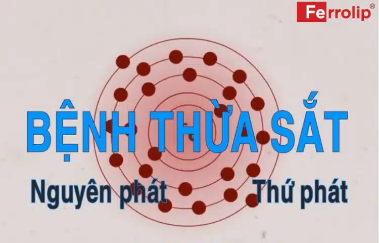 Nguyên nhân khiến cơ thể thừa sắt