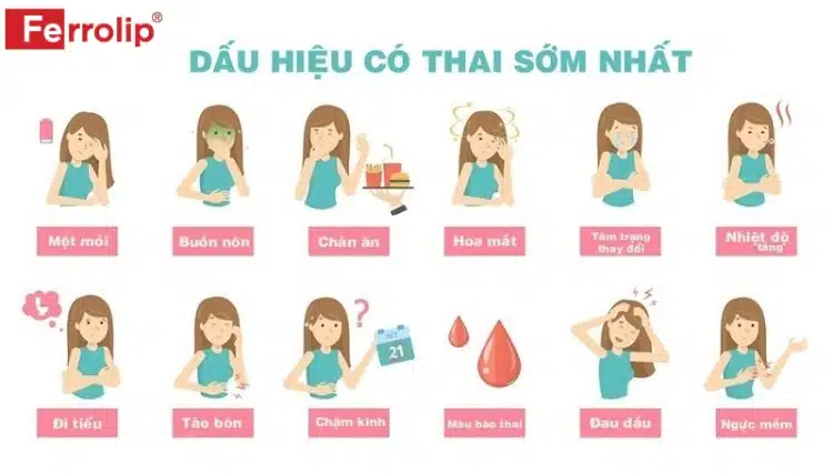 Dấu hiệu có thai sớm