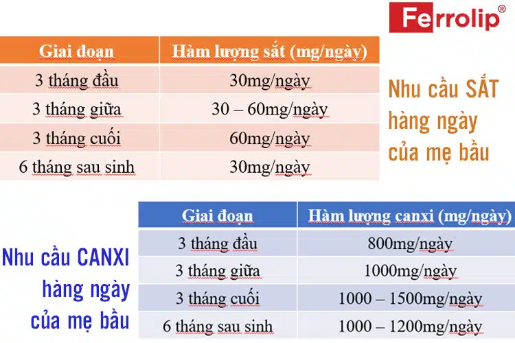 nhu-cau-sat-va-canxi-cua-me-bau-qua-cac-giai-doan-cua-thai-ky