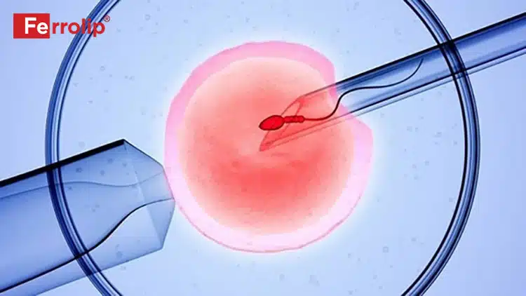 Tại sao thai IVF hay bị ra máu?