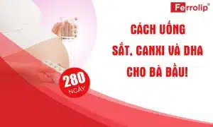 cách uống sắt canxi và dha cho bà bầu