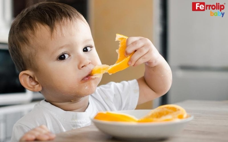 Thiếu vitamin có thể dẫn tới thiếu tế bào hồng cầu khỏe chất lượng