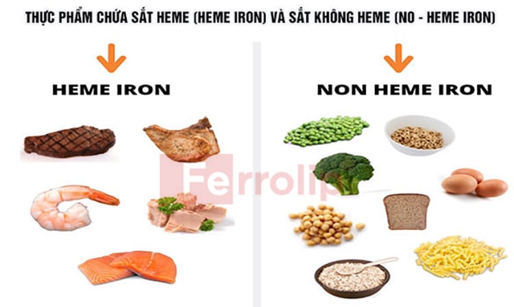 Sắt hem dễ hấp thu hơn sắt non-hem