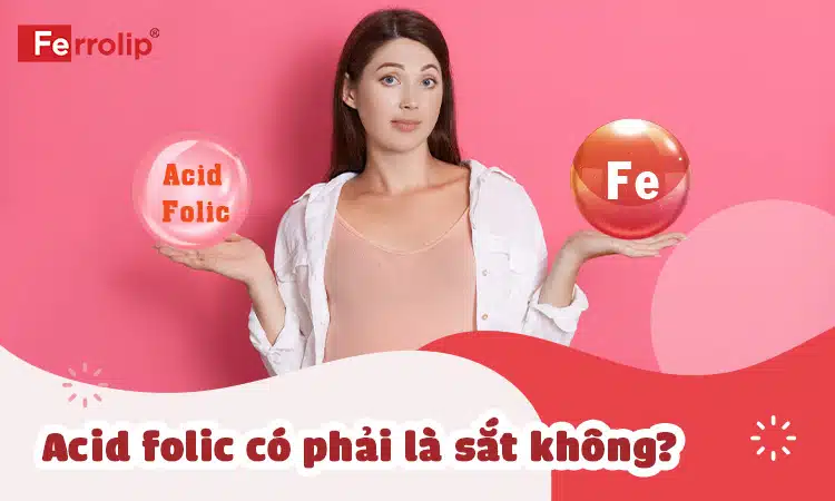 axit-folic-co-phai-la-sat