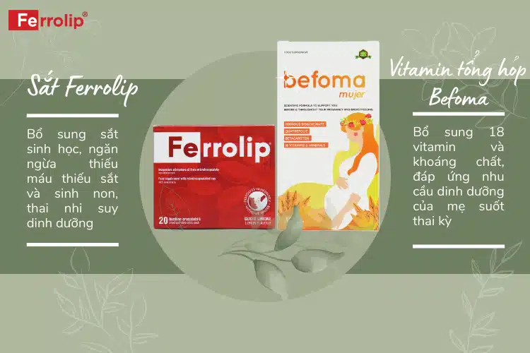 sat-ferrolip-va-vitamin-tong-hop-befoma