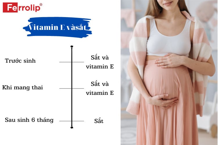 thoi-gina-nen-uong-sat-va-vitamin-e