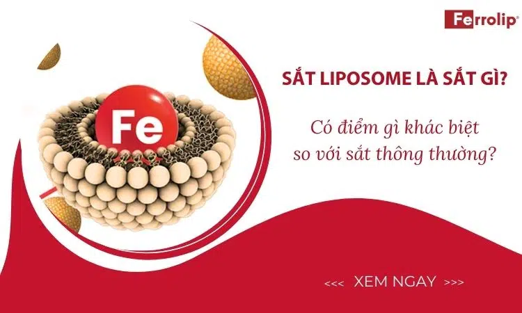 sắt liposome