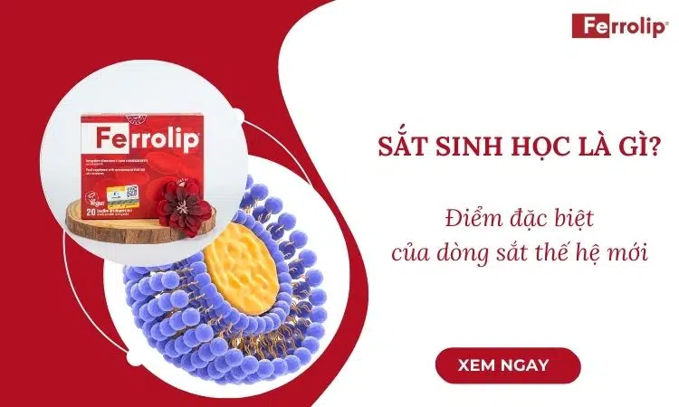 sắt sinh học là gì