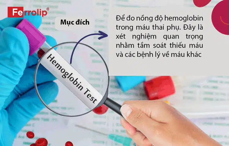 xet-nghiem-hemoglobin-va-ferritin-co-the-danh-gia-tinh-trang-thieu-mau