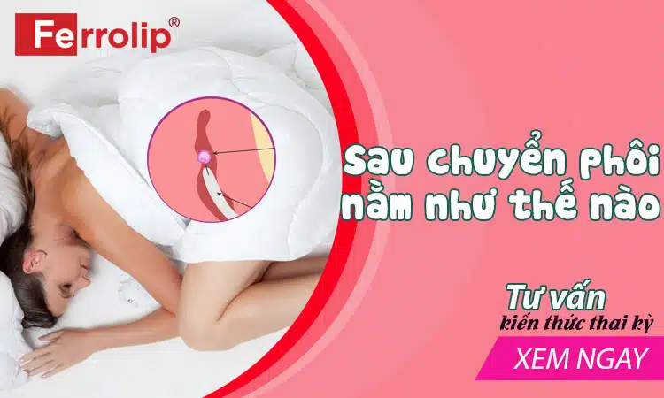 tư thế nằm sau chuyển phôi