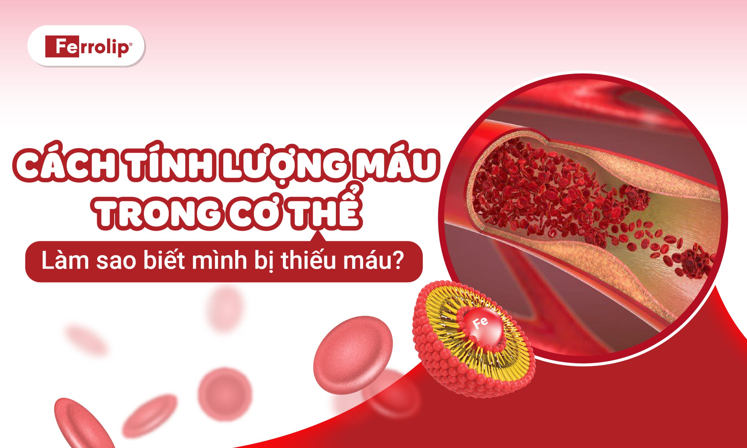 phương pháp tính lượng máu trong cơ thể