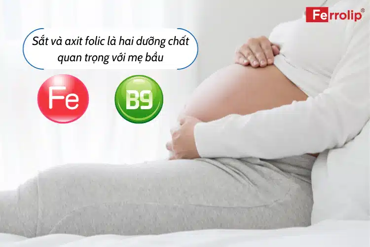 Bổ sung sắt và axit folic cho bà bầu rất quan trọng