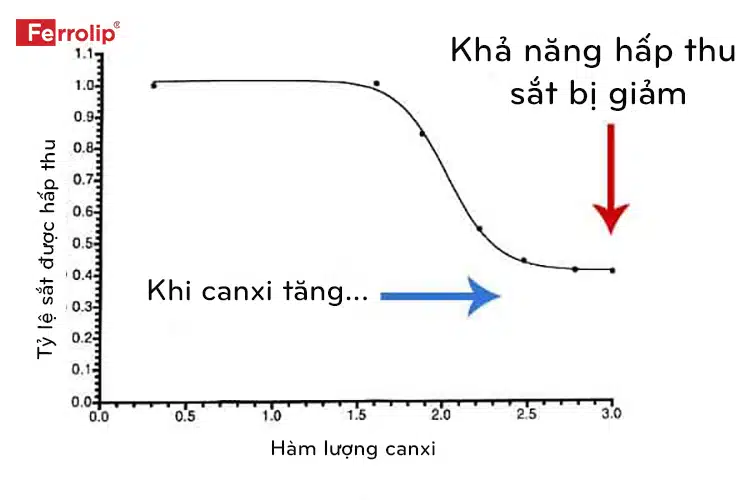 Biểu đồ cho thấy nồng độ sắt hấp thu giảm khi canxi trong cơ thể tăng