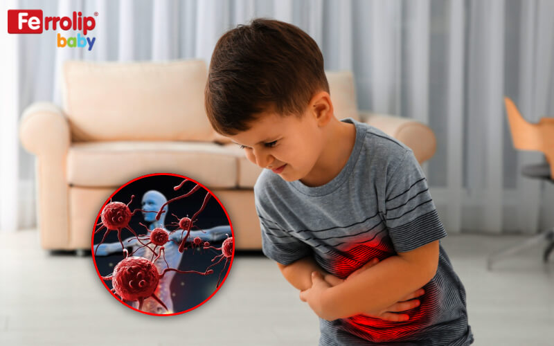 Tại sao trẻ hay thiếu sắt và canxi?