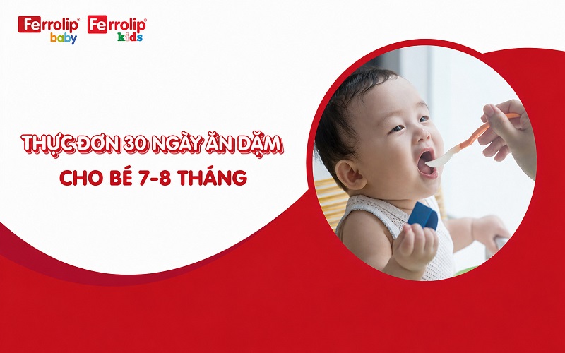 Thực đơn 30 ngày ăn dặm cho bé 7-8 tháng dễ làm tại nhà