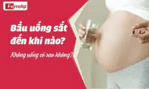 Bầu uống sắt đến khi nào