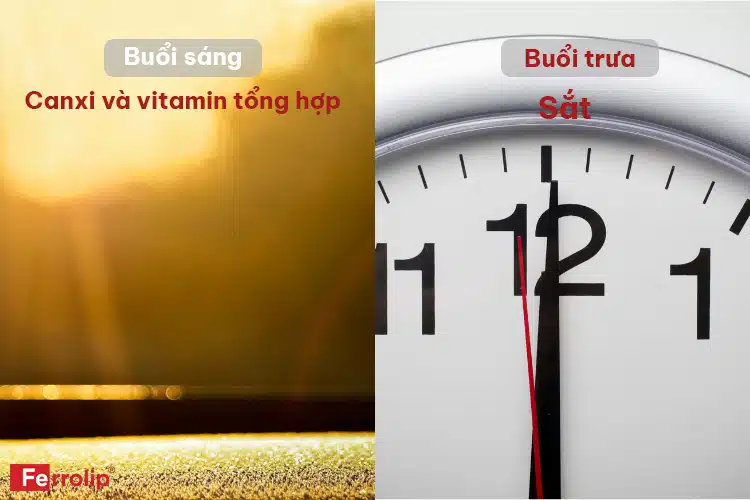 Thứ tự uống vitamin sắt và canxi cho bà bầu