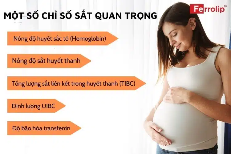 Một số chỉ tiêu sắt quan trọng khi mang thai